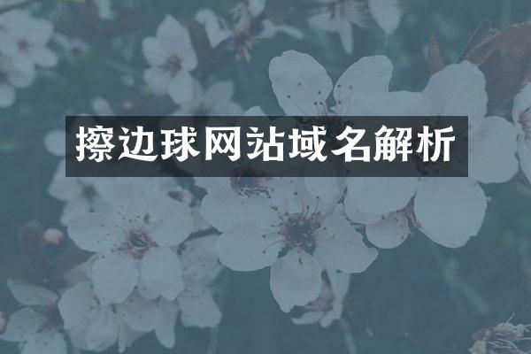 擦边球网站域名解析