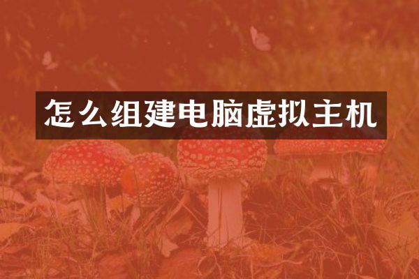 怎么组建电脑虚拟主机