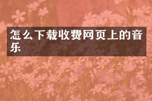 怎么下载收费网页上的音乐