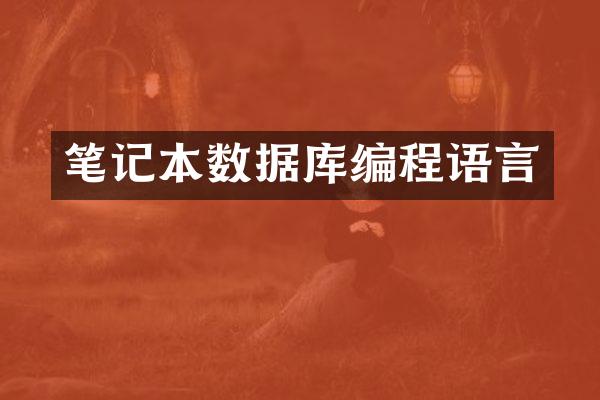 笔记本数据库编程语言