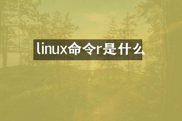 linux命令r是什么