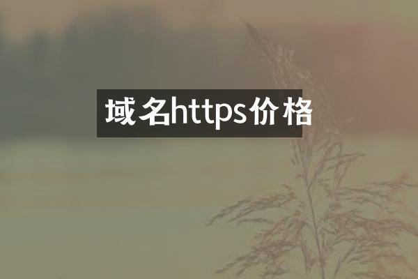 域名https价格
