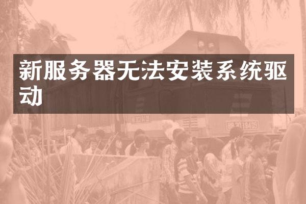 新服务器无法安装系统驱动