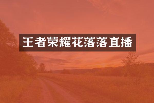 王者荣耀花落落直播