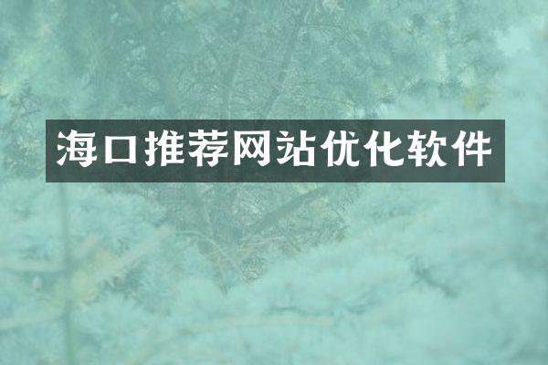 海口推荐网站优化软件