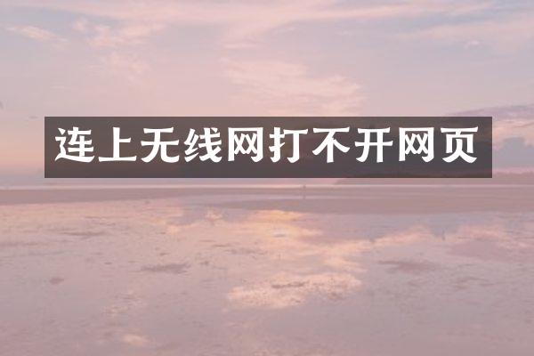 连上无线网打不开网页