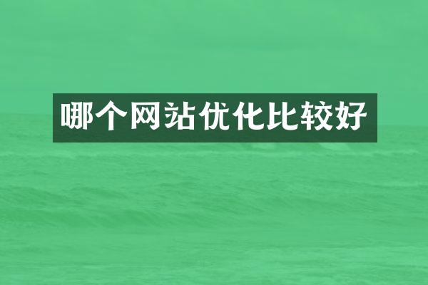 哪个网站优化比较好