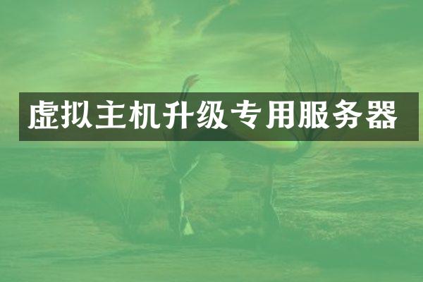 虚拟主机升级专用服务器