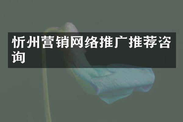 忻州营销网络推广推荐咨询