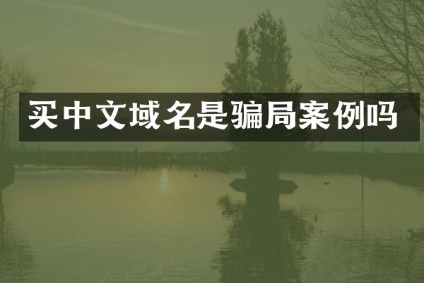 买中文域名是骗局案例吗