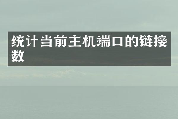 统计当前主机端口的链接数