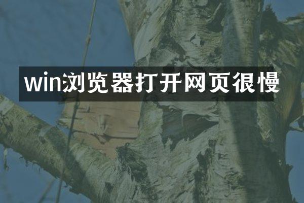 win浏览器打开网页很慢