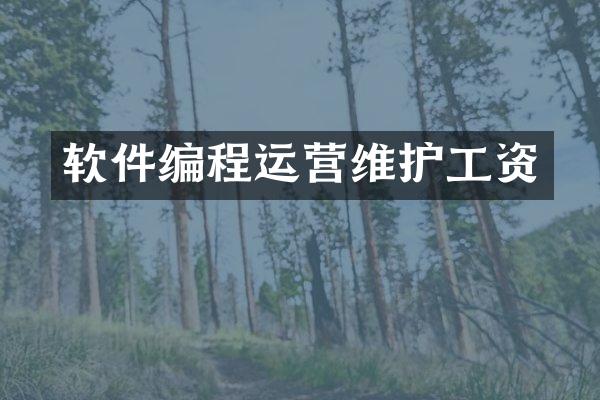 软件编程运营维护工资