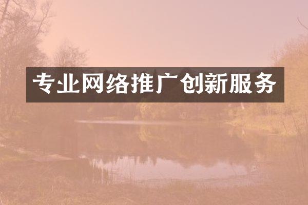 专业网络推广创新服务