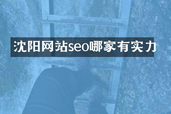 沈阳网站seo哪家有实力