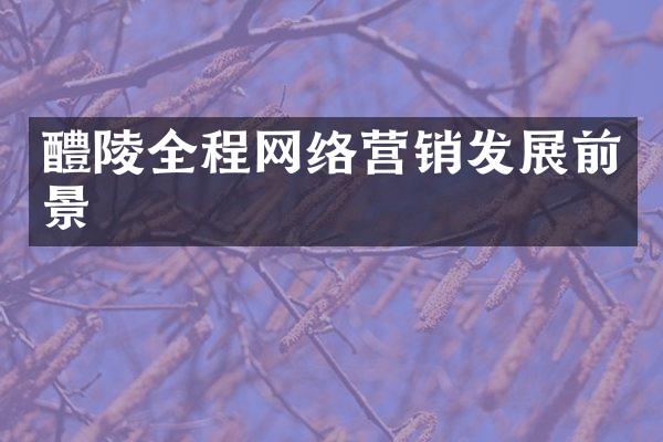 醴陵全程网络营销发展前景