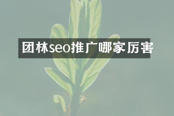 团林seo推广哪家厉害