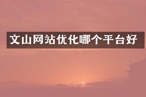 文山网站优化哪个平台好