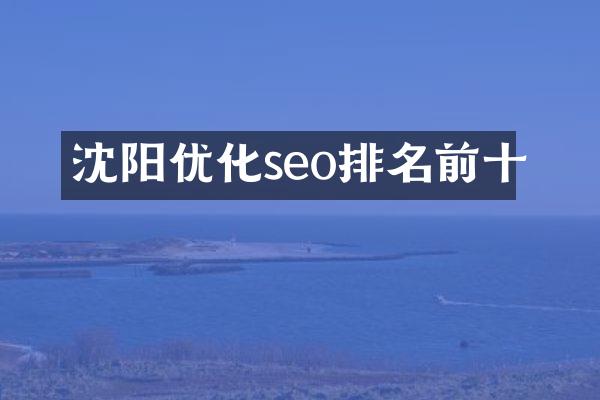 沈阳优化seo排名前十