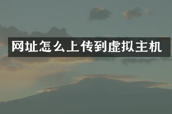 网址怎么上传到虚拟主机