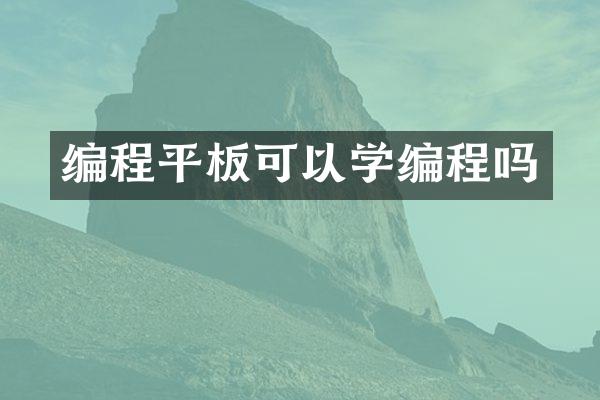 编程平板可以学编程吗