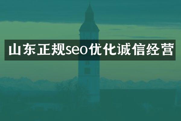 山东正规seo优化诚信经营