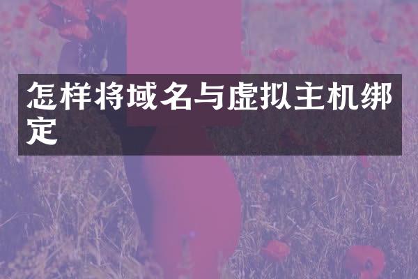 怎样将域名与虚拟主机绑定