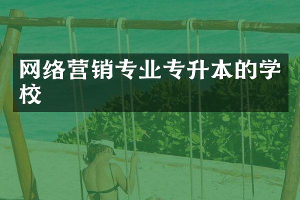 网络营销专业专升本的学校