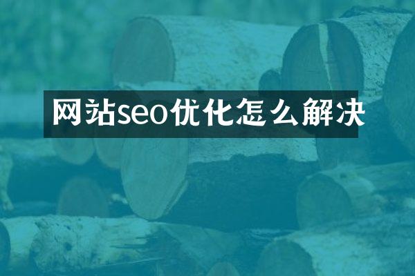 网站seo优化怎么解决
