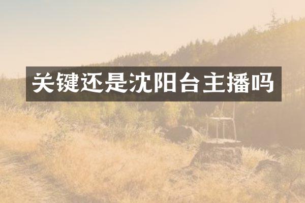 关键还是沈阳台主播吗