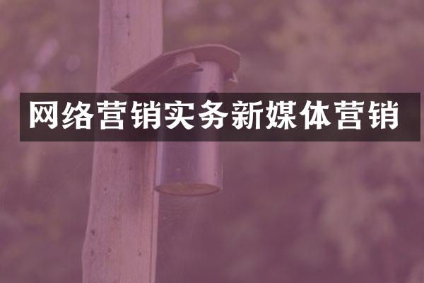 网络营销实务新媒体营销