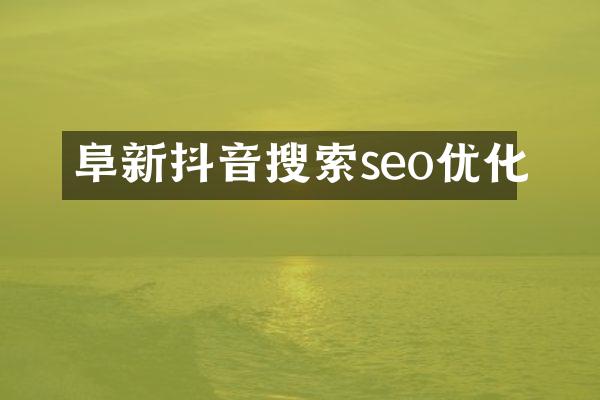 阜新抖音搜索seo优化