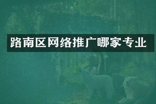 路南区网络推广哪家专业