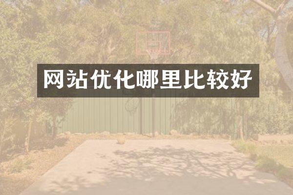 网站优化哪里比较好