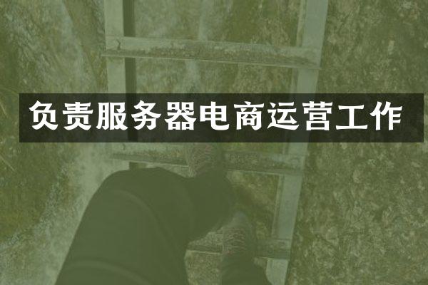 负责服务器电商运营工作