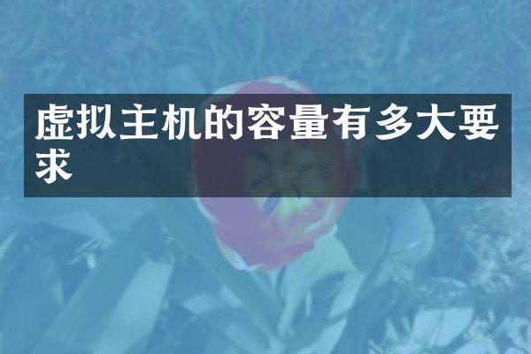 虚拟主机的容量有多大要求
