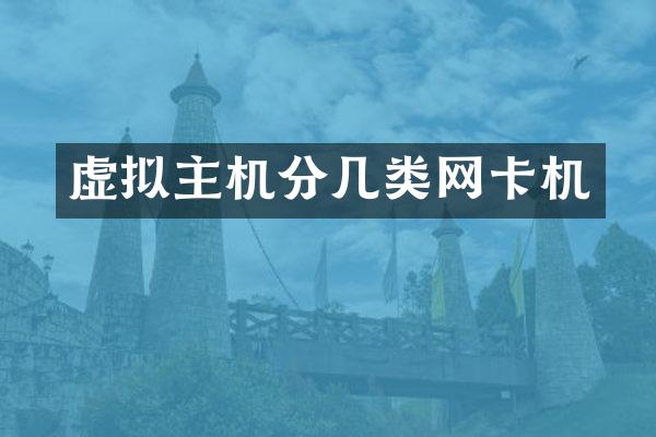 虚拟主机分几类网卡机