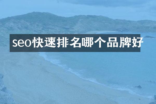 seo快速排名哪个品牌好