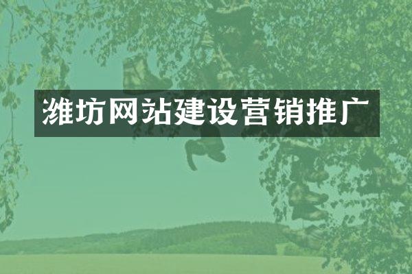 潍坊网站建设营销推广