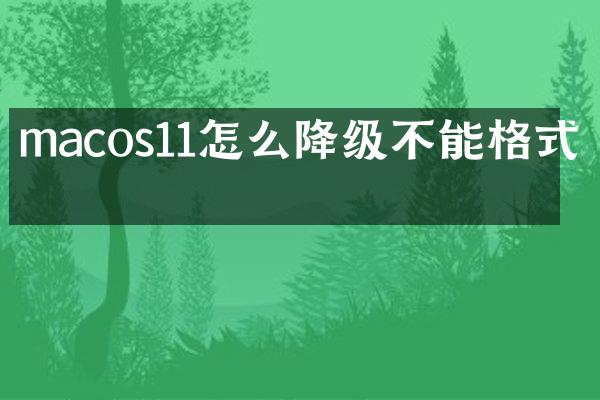 macos11怎么降级不能格式化