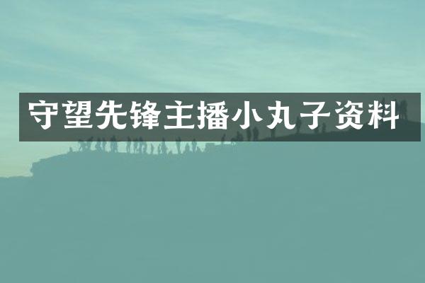 守望先锋主播小丸子资料