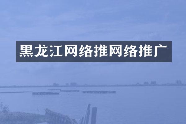 黑龙江网络推网络推广
