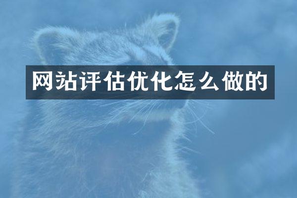 网站评估优化怎么做的
