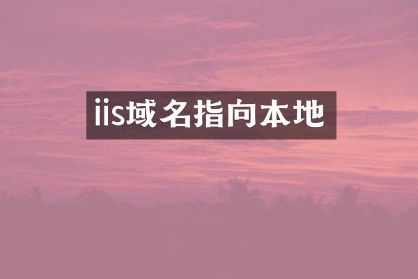 iis域名指向本地