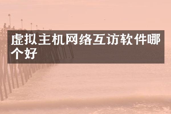 虚拟主机网络互访软件哪个好