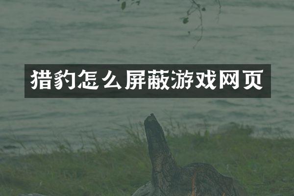 猎豹怎么屏蔽游戏网页