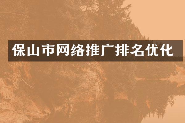 保山市网络推广排名优化
