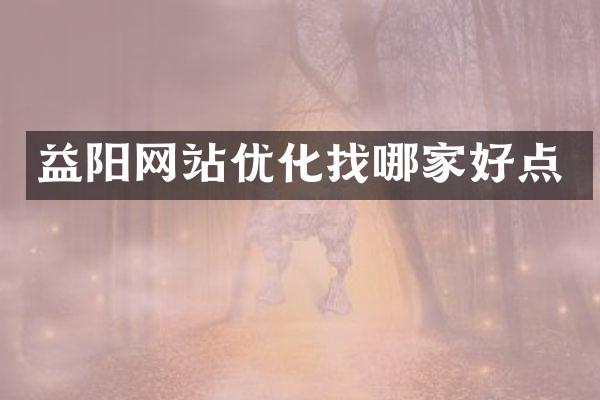 益阳网站优化找哪家好点