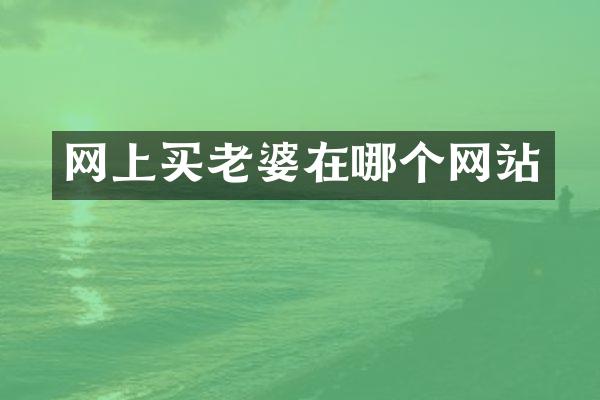 网上买老婆在哪个网站