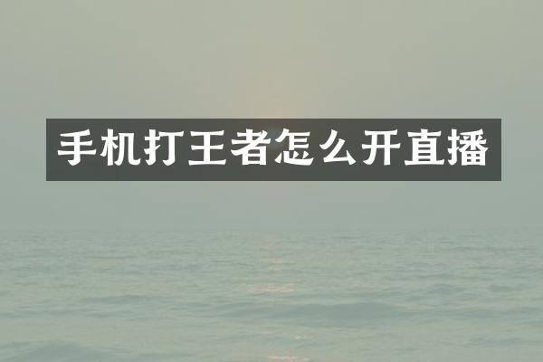 手机打王者怎么开直播